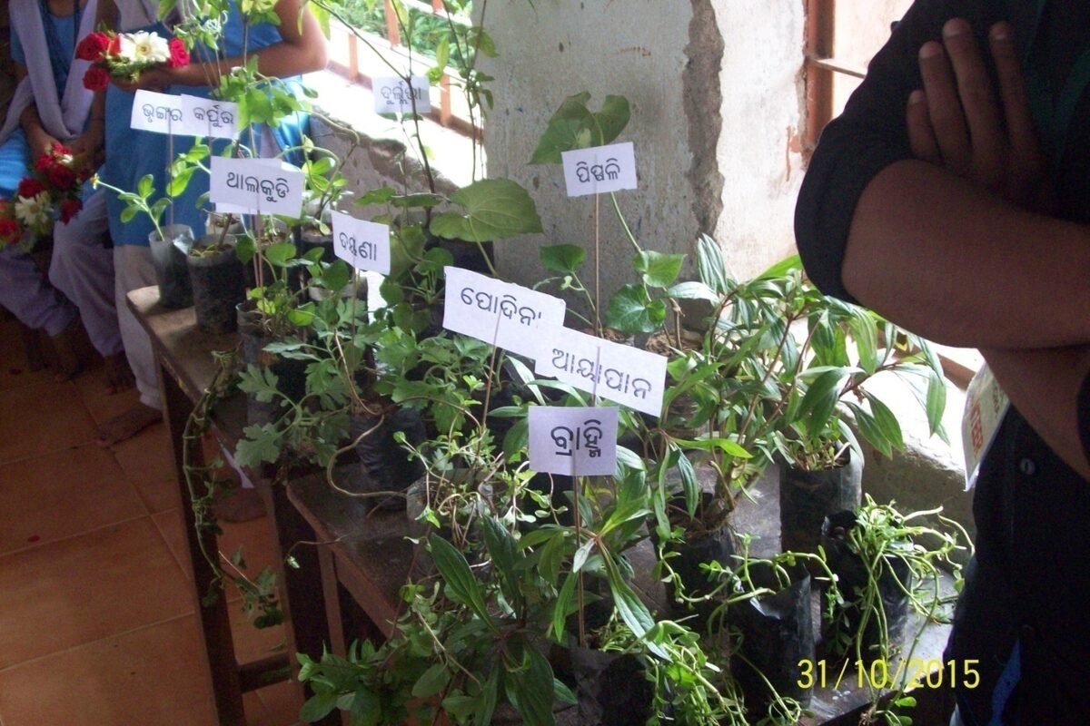 Community gathering for the environmental awareness programme